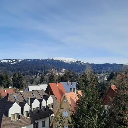 Apartament Pogled Kopaonik