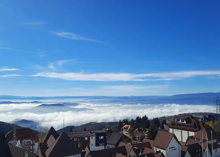 アパート Pogled コパオニク