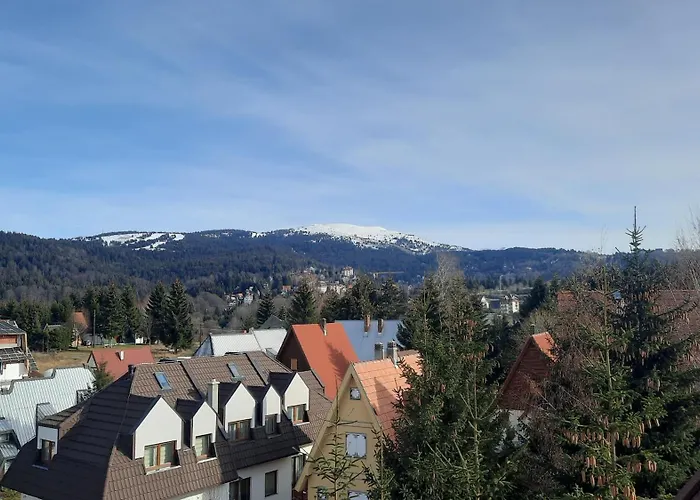 アパート Pogled コパオニク