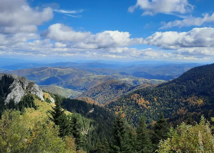 Pogled * コパオニク