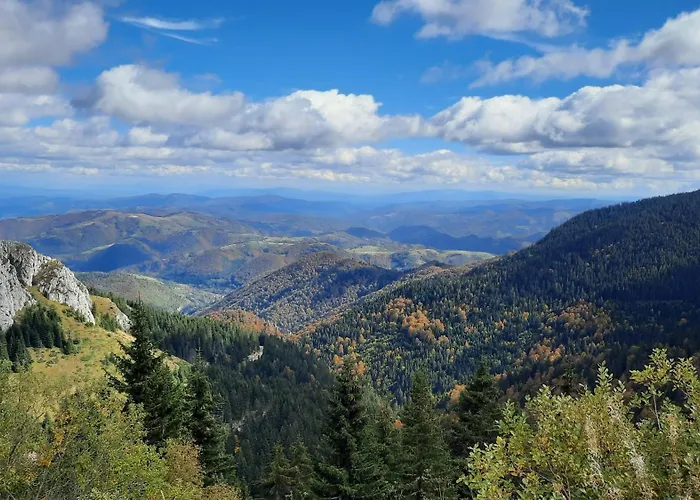 Pogled * コパオニク